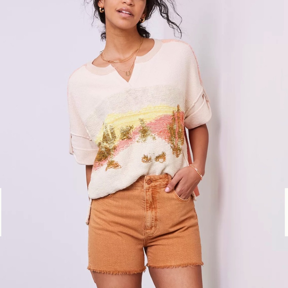 Anthropologie Pilcro Summer Desert Crop Intarsia Knit Sweater Tee Top